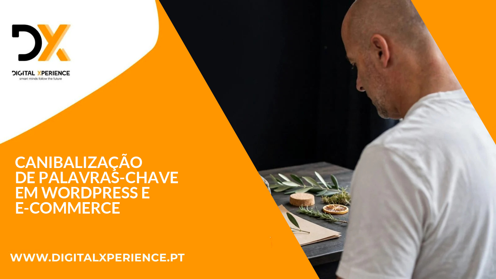 Canibalização de palavras-chave em WordPress e e-commerce